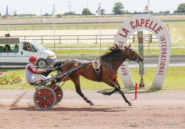 Hohneck spaziert durch La Capelle (Foto: Jacques Grossemy/LeTrot)