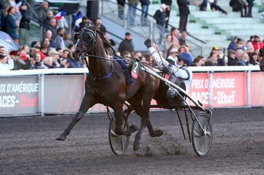 Hip Hop Haufor im Prix de Bretagne (Foto: equidia.fr) Hip Hop Haufor im Prix de Bretagne (Foto: equidia.fr)