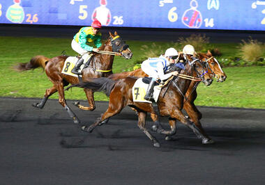 Granvillaise Bleue im Prix Edmond Henry (Foto: letrot.com) Granvillaise Bleue im Prix Edmond Henry (Foto: letrot.com)