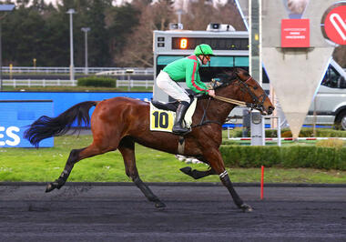 Hirondelle du Rib im Prix Paul Bastard (Foto: letrot.com) Hirondelle du Rib im Prix Paul Bastard (Foto: letrot.com)