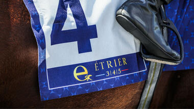 Die Dreijährigen machten den Auftakt zum Étrier 3/4/5 (Foto: letrot.com) Die Dreijährigen machten den Auftakt zum Étrier 3/4/5 (Foto: letrot.com)