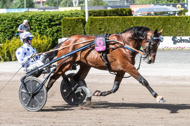 Finalsieger 2024: Go On Boy (Foto: tgn.no)