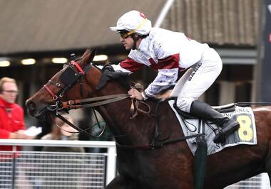 Happy and Lucky im Prix Xavier de Saint Palais (Foto: letrot.com) Happy and Lucky im Prix Xavier de Saint Palais (Foto: letrot.com)