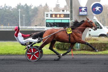 Koctel du Dain im Prix de Croix (Foto: paris-turf.com) Koctel du Dain im Prix de Croix (Foto: paris-turf.com)