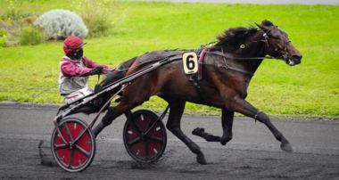 Hohneck mit  Yoann Lebourgeois © equidia.fr