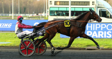 Italiano Vero - die Nr. 1 unter Frankreichs noch Zweijährigen (Foto: equidia.fr) Italiano Vero - die Nr. 1 unter Frankreichs noch Zweijährigen (Foto: equidia.fr)