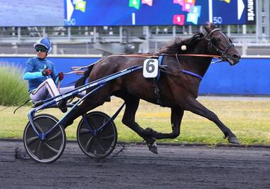 Jakartas des Prés mit Eric Raffin im Prix Kalmia (Foto: letrot.com) Jakartas des Prés mit Eric Raffin im Prix Kalmia (Foto: letrot.com)