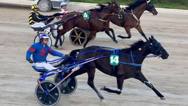 Galba Ringeat gewinnt die Tour-Etappe auf Mallorca (Foto: letrot.com)