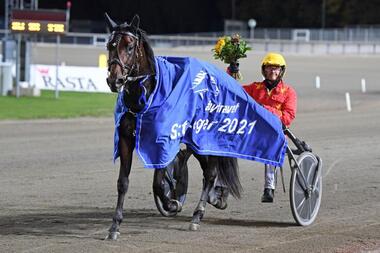 Samson im schwedischen Leger (Foto: nwt.se)
