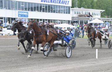 Dritte Gulddivision für Y Not Diamant (Foto: nastagangare.se)