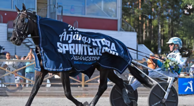 Dan Fanucci Zet in Årjäng (Foto: aftonbladet.se) Dan Fanucci Zet in Årjäng (Foto: aftonbladet.se)