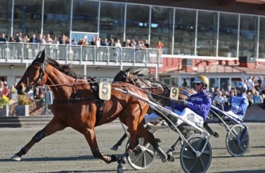 Born Unicorn mit Björn Goop im Rommeheatet (Foto: travronden.se)