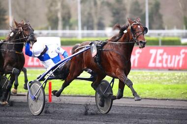 Cokstile überrascht im Prix de Bourgogne (Foto: news.eseuro.com) Cokstile überrascht im Prix de Bourgogne (Foto: news.eseuro.com)