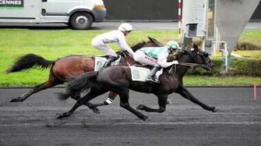 Staccato HL toller Zweiter in Paris (Foto: zeturf.fr) Staccato HL toller Zweiter in Paris (Foto: zeturf.fr)