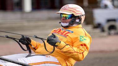 Alex Gocciadoro gewann die Hengst-Abteilung des Gran Premio Citta’ di Follonica (Foto: equos.it) Alex Gocciadoro gewann die Hengst-Abteilung des Gran Premio Citta’ di Follonica (Foto: equos.it)