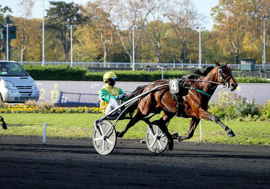 "FTB" startet überzeugend ins Wintermeeting (Foto: letrot.com) "FTB" startet überzeugend ins Wintermeeting (Foto: letrot.com)