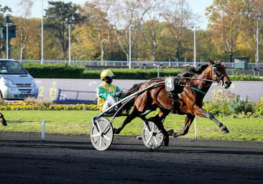 "FTB" startet überzeugend ins Wintermeeting (Foto: letrot.com)