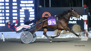 Perfetto vertritt Kanada bei Elitloppet (Foto: standardbredcanada.ca) Perfetto vertritt Kanada bei Elitloppet (Foto: standardbredcanada.ca)
