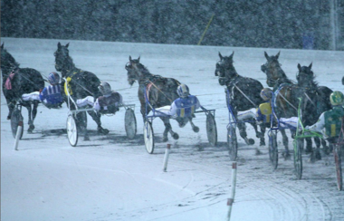 (Foto: Instagram @woodbinesb)