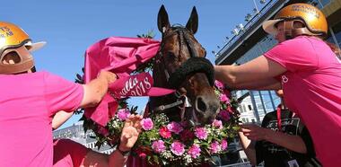 (Foto: elitloppet.se) (Foto: elitloppet.se)