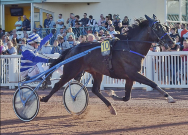 Elvis du Vallon in Cabourg (Foto: Twitter LeTrot) Elvis du Vallon in Cabourg (Foto: Twitter LeTrot)