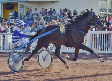 Elvis du Vallon in Cabourg (Foto: Twitter LeTrot)