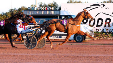 Hudo du Ruel im Grand Prix de Vincennes (Foto: letrot.com) Hudo du Ruel im Grand Prix de Vincennes (Foto: letrot.com)