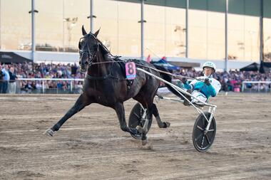 Als hätte er das Zielschild von Jägersro noch nie gesehen (Foto: Facebook Jägersro Trav)