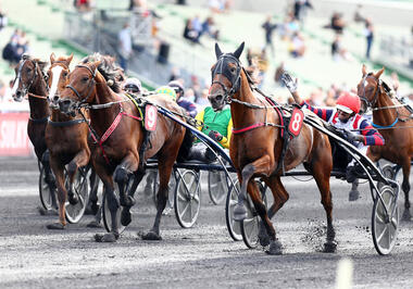Bazire-Einlauf im Prix d'Eté (Foto: letrot.com) Bazire-Einlauf im Prix d'Eté (Foto: letrot.com)