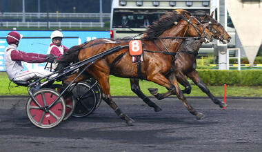 Just A Gigolo im Prix Emmanuel Margouty (Foto: province-courses.fr)