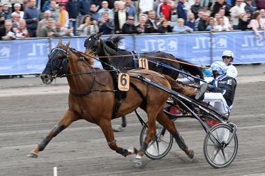 Rackham vor Admiral As (Foto: Facebook Halmstad Travet) Rackham vor Admiral As (Foto: Facebook Halmstad Travet)