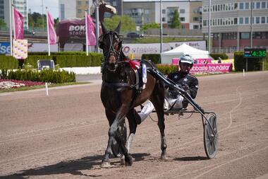 Västerbo Exciting im Auktionsrennen für dreijährige Hengste und Wallache (Foto: Facebook Solvalla)