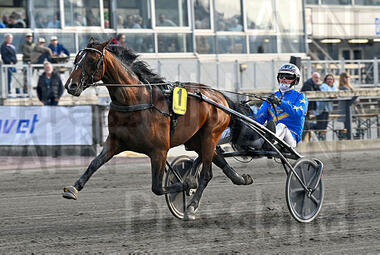 Nicolai Hanover (Foto: ALN Pressbild) Nicolai Hanover (Foto: ALN Pressbild)