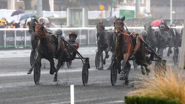 Novice du Choquel (14) im Prix Comte Pierre de Montesson (Foto: Le Trot)