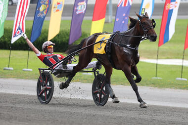 JIggy Jog bei ihrem Triumph im International Trot 2024 (Foto: harnesslink.com)