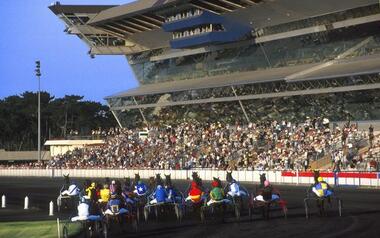 Einzigartige Atmosphäre: Trabrennen in Vincennes Einzigartige Atmosphäre: Trabrennen in Vincennes