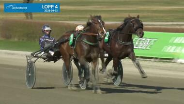 Newcomer Vici in Örebro (Foto: tgn.no)