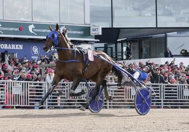 Die Sensation ist perfekt: Etonnant gewinnt das Finale (Foto: letrot.com) Die Sensation ist perfekt: Etonnant gewinnt das Finale (Foto: letrot.com)