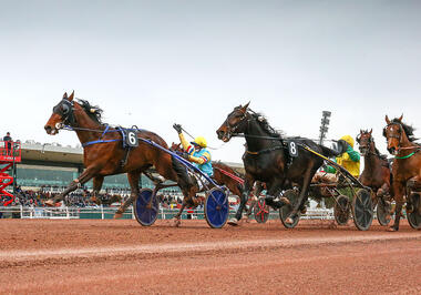 Etonnant (6) überläuft Vivid Wise As (Foto: letrot.com) Etonnant (6) überläuft Vivid Wise As (Foto: letrot.com)