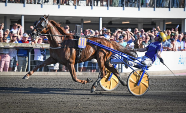 Moni Viking lässt Björn Goop jubeln (Foto: MALIN ALBINSSON / TR BILD) Moni Viking lässt Björn Goop jubeln (Foto: MALIN ALBINSSON / TR BILD)