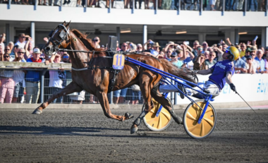 Moni Viking lässt Björn Goop jubeln (Foto: MALIN ALBINSSON / TR BILD)