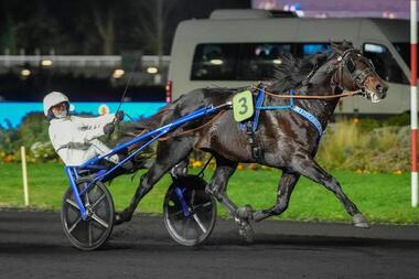 Bayard triumphiert in Vincennes (Foto: canalturf.com)