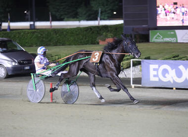 Dimitri Ferm im Gran Premio Nazionale (Foto: equos.it) Dimitri Ferm im Gran Premio Nazionale (Foto: equos.it)