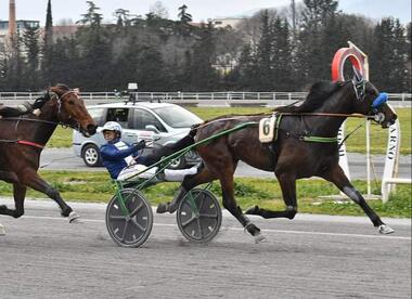 Desiderio d'Esi im Gran Premio Firenze (Foto: equos.it)