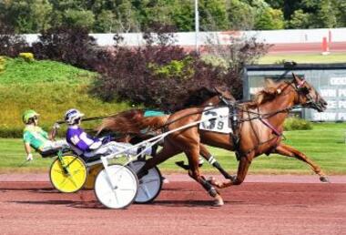 Elista Hanover im Stutenlauf der Pennsylvania Sire Stakes Championship (ustrottingnews.com)