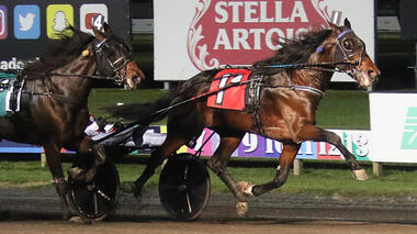 Fast as the Wind im Valley Victory Trot (Foto: harnesslink.com)