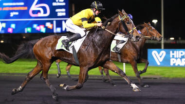 Filwell im Prix de l’Île d’Oléron (Foto: letrot.com) Filwell im Prix de l’Île d’Oléron (Foto: letrot.com)