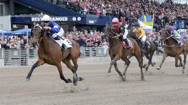 Monté-Weltrekord eingestellt: Florida Sport in 1:09,8 (Fofo: atg.se) Monté-Weltrekord eingestellt: Florida Sport in 1:09,8 (Fofo: atg.se)