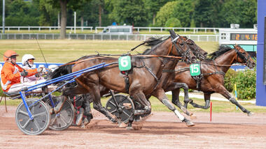 Fragolino Rosso im Prix de Rome (Foto: letrot.com) Fragolino Rosso im Prix de Rome (Foto: letrot.com)