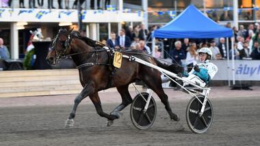 Francesco Zet in den Svenskt Mästerskap (Foto: Trav og Galopp-Nytt) Francesco Zet in den Svenskt Mästerskap (Foto: Trav og Galopp-Nytt)